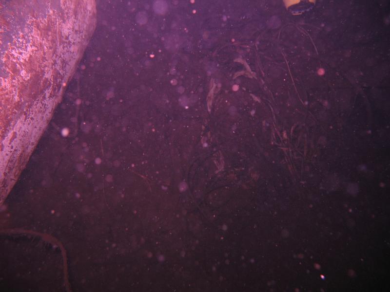 April 2007 Diving Beaver Lakes 009.JPG